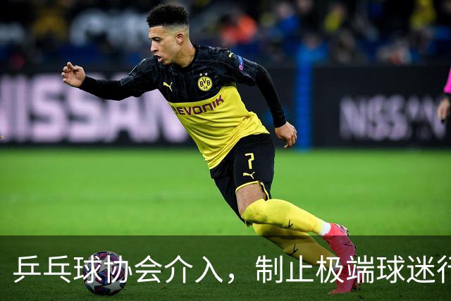乒乓球协会介入，制止极端球迷行为确保赛事和谐